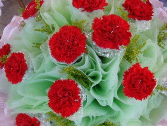 送康乃馨代表什么意思，代表著對(duì)母親深深的愛(ài)