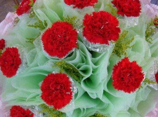 送康乃馨代表什么，母親我愛你、溫馨的祝福