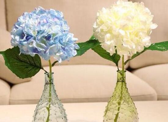 繡球花為什么蔫了，繡球花蔫了怎么辦