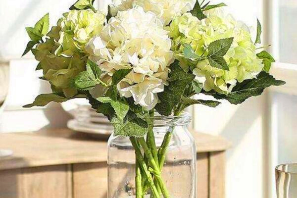 繡球花插水里能活嗎，可以成活但養(yǎng)護難度較高