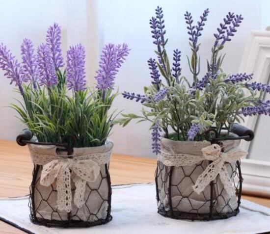 薰衣草怎么扦插，薰衣草的繁殖方法