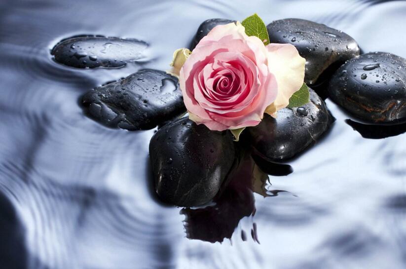 送玫瑰花朵數(shù)的含義，999朵天長地久的愛