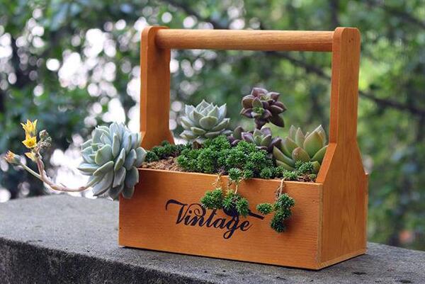 栽茉莉用什么盆好，瓦盆既便宜又適用