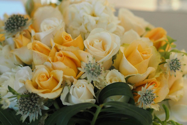 香檳玫瑰代表什么意思，愛(ài)上你是一生中最幸福的事