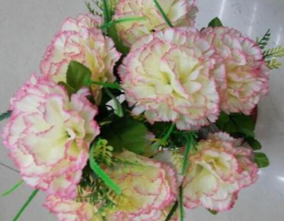 送康乃馨代表什么，母親我愛你、溫馨的祝福