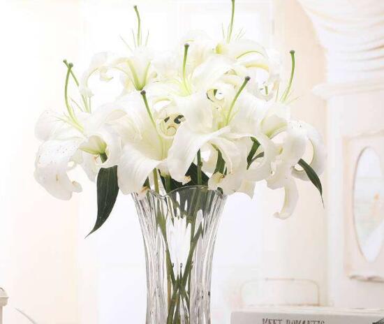 百合花可以水培嗎，水培百合花的養(yǎng)殖方法