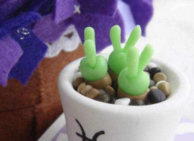 碧光環(huán)用什么樣的土，最好配制適合植物生長的透氣土壤