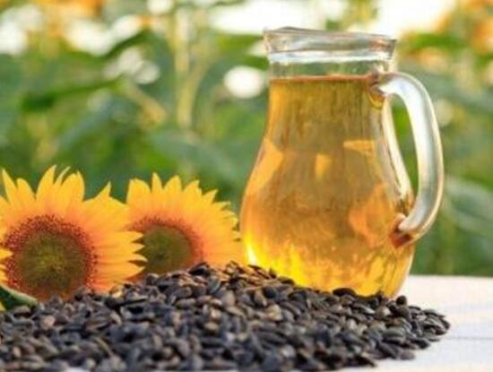 向日葵的藥用價(jià)值，向日葵的功效與作用
