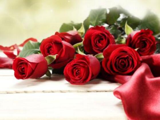 玫瑰花怎么施肥，玫瑰花施氮磷鉀肥最為合適