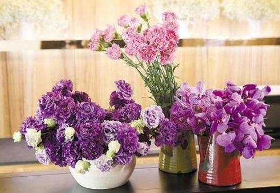 康乃馨怎么養(yǎng)，康乃馨的養(yǎng)殖方法和注意事項