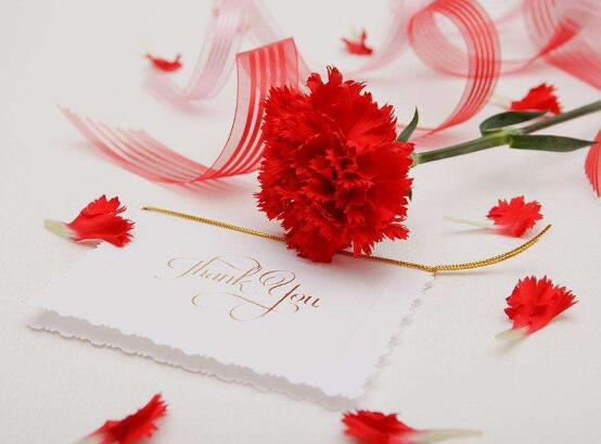 康乃馨送母親要幾朵，1、10、16、18朵寓意最深