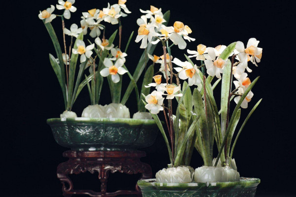 盆栽水仙花管理，冬季控溫要在5℃以上