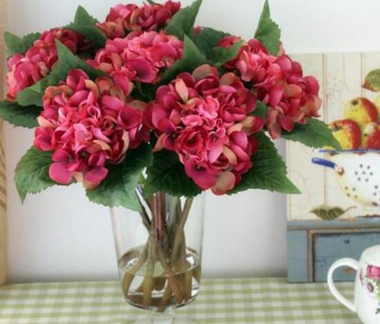 繡球花可以水培嗎，繡球花怎么在花瓶里養(yǎng)