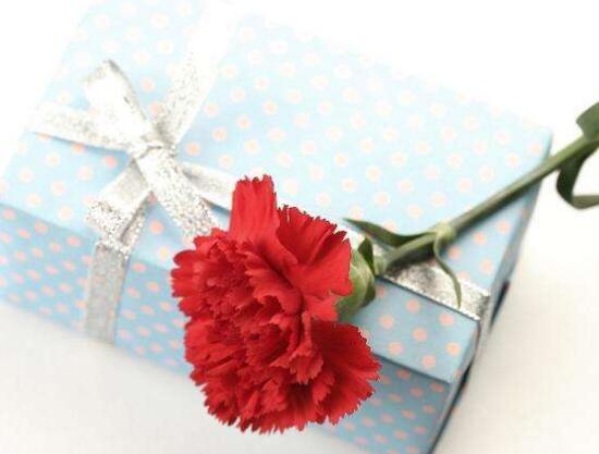 康乃馨有毒嗎，康乃馨能養(yǎng)在臥室嗎