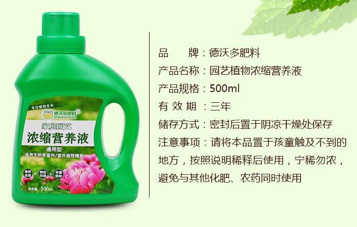 康乃馨用什么肥料，康乃馨肥料推薦(康乃馨營養(yǎng)液)