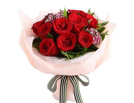 玫瑰花朵數(shù)代表的含義，玫瑰花寓意和象征