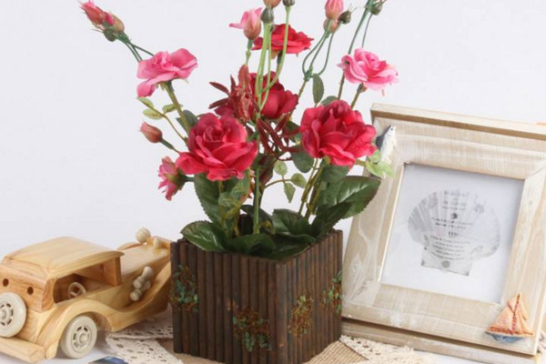 玫瑰盆栽怎么養(yǎng)，4步教你養(yǎng)好玫瑰花