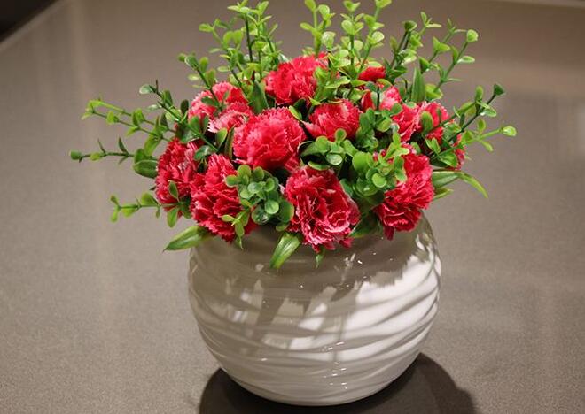 康乃馨一年開幾次花（一次），盤點一年四季開花的養(yǎng)殖方法