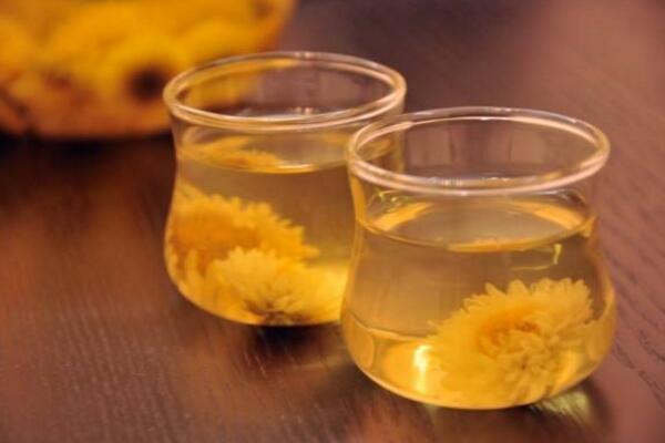 菊花茶可以天天喝嗎，不建議天天飲用