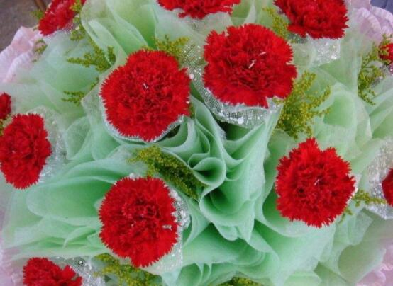 康乃馨多少錢一朵，不同朵數(shù)不同價格/幾十元至幾百元