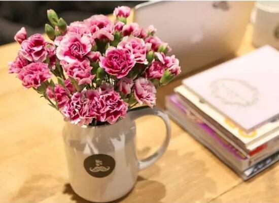 康乃馨怎么水養(yǎng)，康乃馨水培生根步驟圖