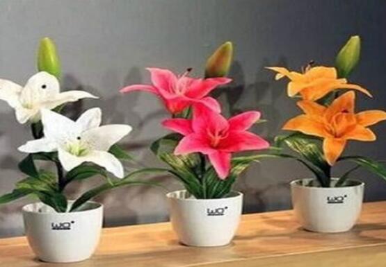 百合花盆栽的養(yǎng)殖方法，老農(nóng)教你最簡單六種基本養(yǎng)殖方法