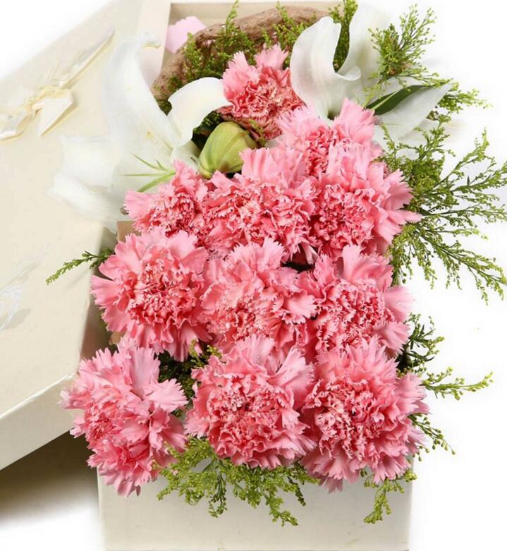 康乃馨盆栽怎么養(yǎng)才長(zhǎng)得好，5種方法讓你盆栽亭亭如蓋