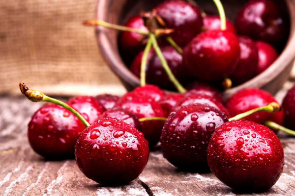 車?yán)遄訕?shù)先開(kāi)花還是先長(zhǎng)葉