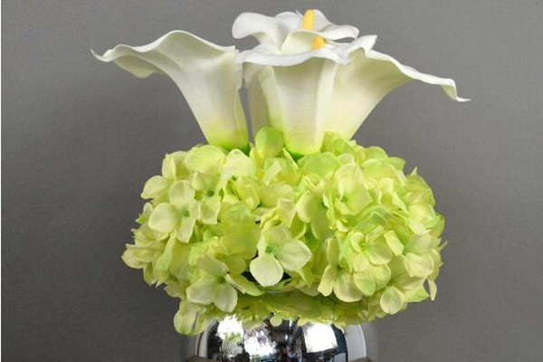 馬蹄蓮插花瓶能養(yǎng)多久，養(yǎng)護得當可保存半個月以上