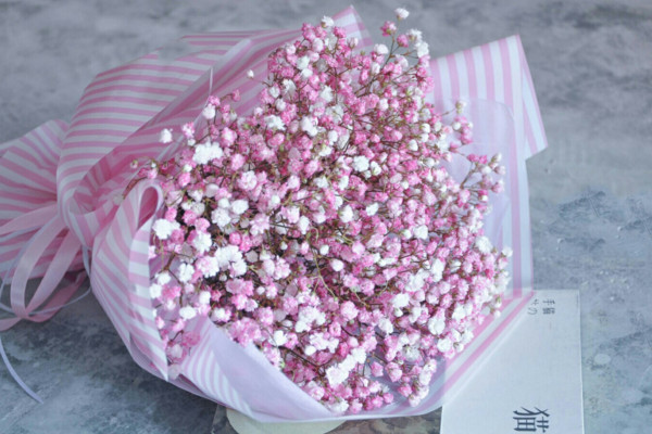 粉色滿天星花語，代表初戀可用于告白