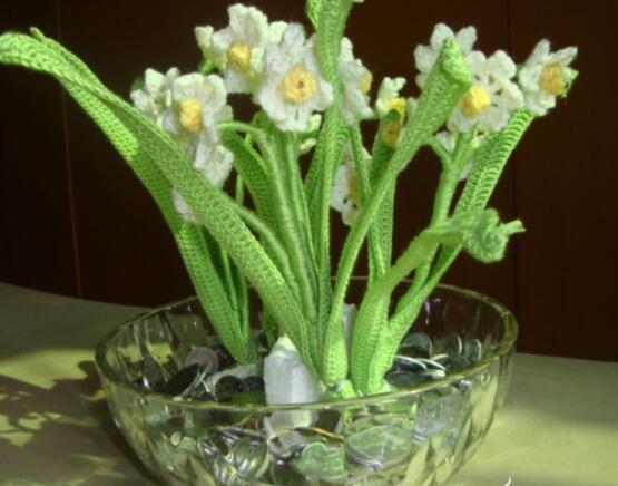 水仙花水養(yǎng)怎么選盆，選圓形、橢圓形、淺盆、淺盤最為合適