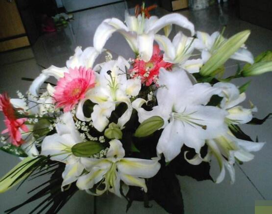 香水百合代表什么，代表著純純的愛(ài)、美好的祝福