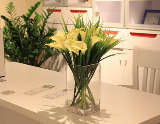 馬蹄蓮風(fēng)水作用是什么，馬蹄蓮作用與功效