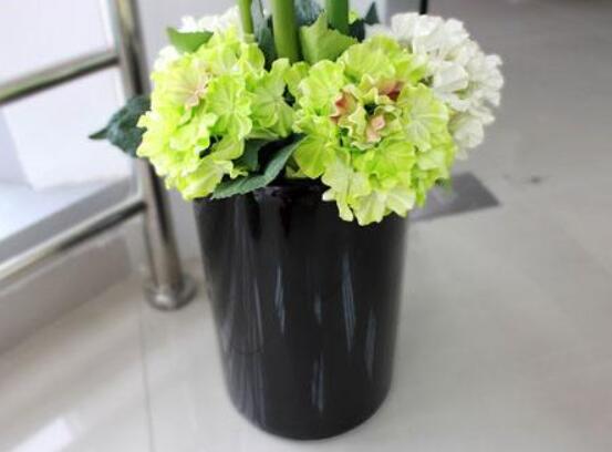 繡球花種子種植方法，擇健康飽滿種子、合適土壤