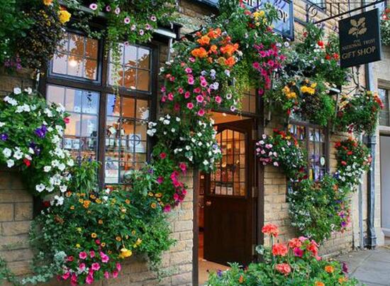 薔薇花幾年能爬滿墻，薔薇花爬墻辦法