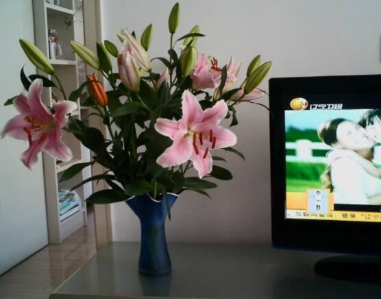 百合花養(yǎng)水里能活多久，做好五個(gè)要點(diǎn)可存活百日以上