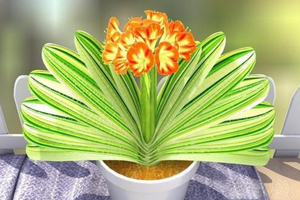 君子蘭澆水的正確方法，秉承干燥就澆的灌溉原則