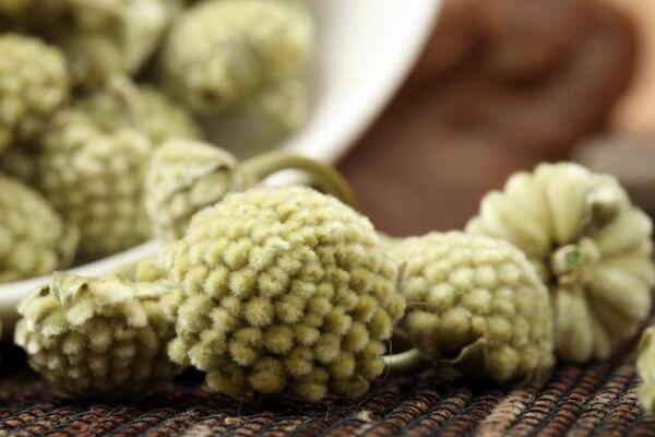 綠蘿花的功效與作用，可以降低三高