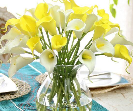 馬蹄蓮葉子發(fā)黃怎么辦，五個(gè)步驟讓它重新恢復(fù)生機(jī)