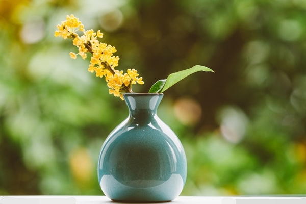 桂花的養(yǎng)殖方法和注意事項(xiàng)，桂花養(yǎng)殖5大要點(diǎn)