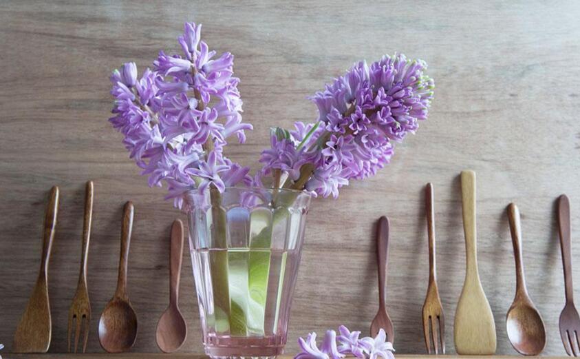 風(fēng)信子花香有毒嗎，有毒沒毒要分清這幾種狀況