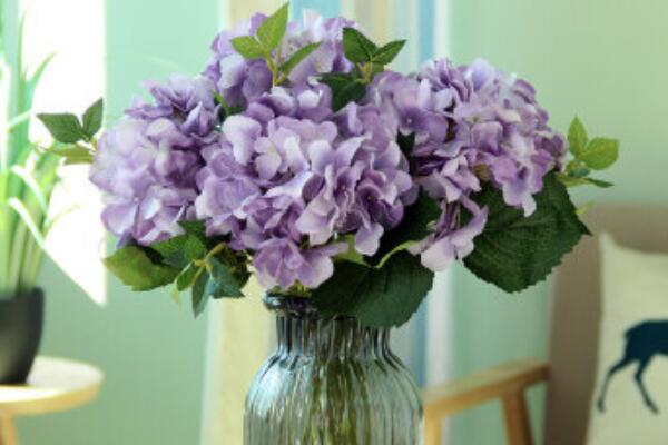繡球花怎么水培生根，簡(jiǎn)單四步教你生根成活