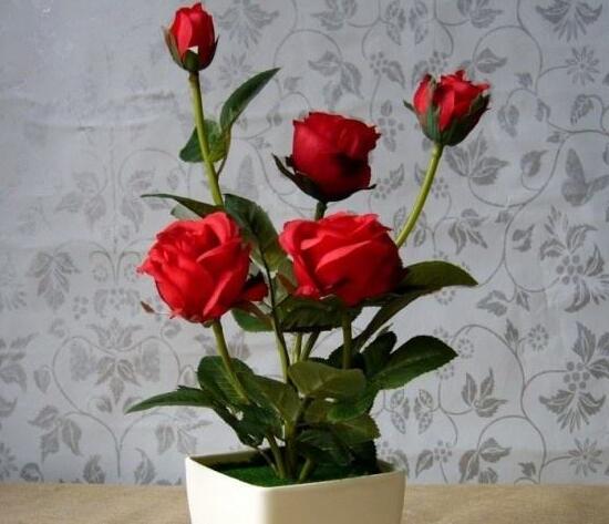 玫瑰花多久澆一次水，玫瑰花怎么澆水