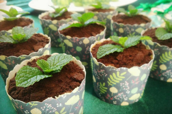 白醋可以澆花嗎，經(jīng)過(guò)濃度的稀釋后才可澆灌