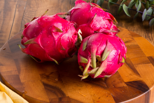 火龍果盆栽幾年能結(jié)果，3~6年就可獲得開花結(jié)果能力