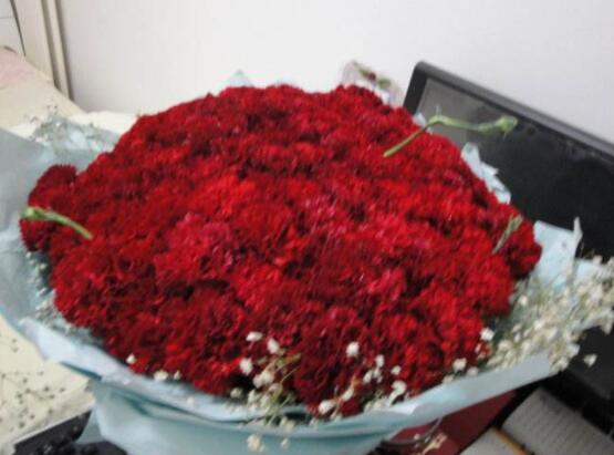 康乃馨的花語是什么，代表著母親我愛你、魅力、尊敬之情