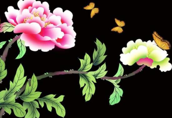 牡丹花為什么不能進(jìn)家門，生長(zhǎng)環(huán)境不適/風(fēng)水氣勢(shì)強(qiáng)大(危害性強(qiáng))