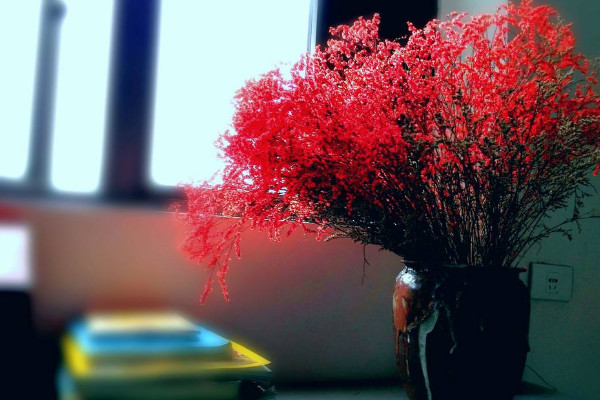 紅色滿天星花語(yǔ)含義，關(guān)心照料/不可或缺的配角