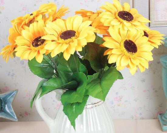 向日葵需要修剪嗎，怎么修剪向日葵/摘心修整