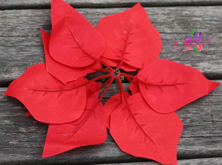 一品紅花放室內(nèi)對身體有害嗎，可以放在室內(nèi)但是不要碰到它的汁液